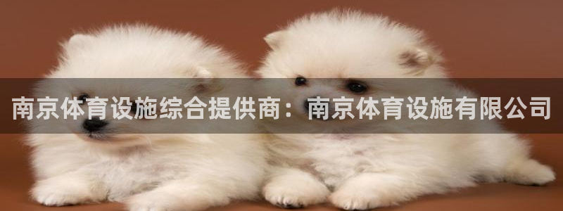 意昂4集团logo：南京体育设施综合提供商：南京体育