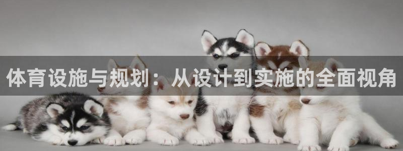 意昂体育4平台APP：体育设施与规划：从设计到实施的