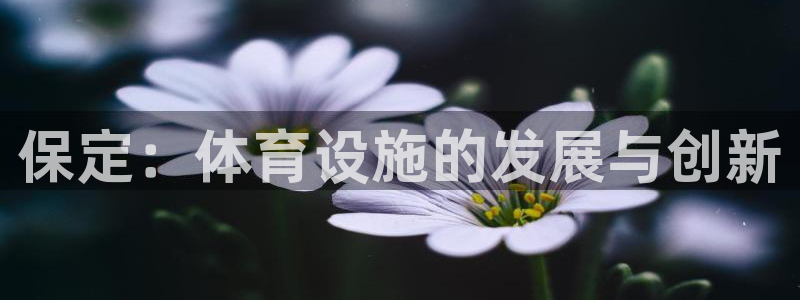 意昂4娱乐下载：保定：体育设施的发展与创新