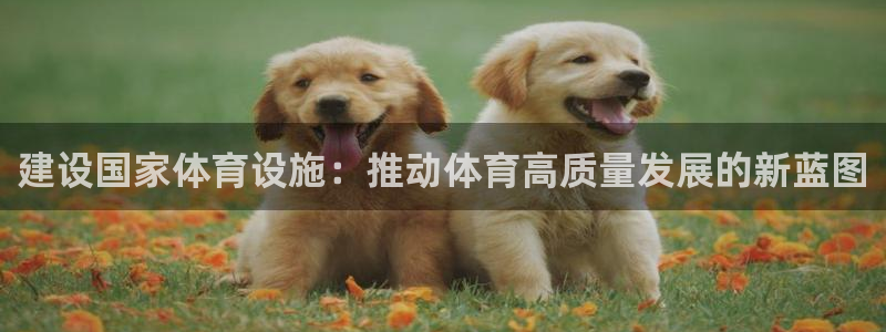 意昂4新能源：建设国家体育设施：推动体育高质量发展的