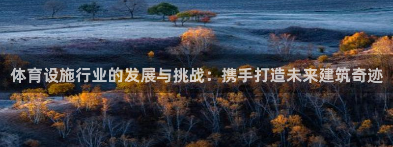 意昂体育4平台APP：体育设施行业的发展与挑战：携手