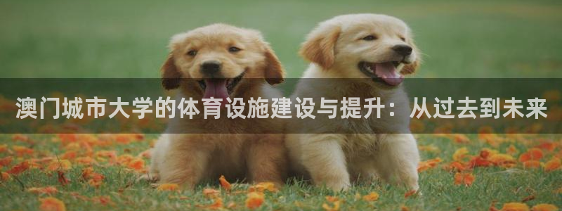 意昂4集团官网首页网址：澳门城市大学的体育设施建设与