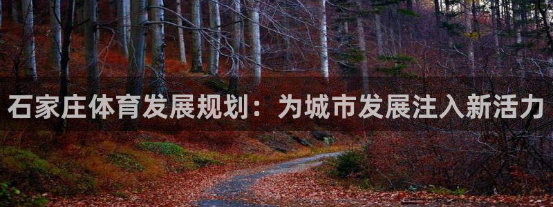 意昂集团官网：石家庄体育发展规划：为城市发展注入新活