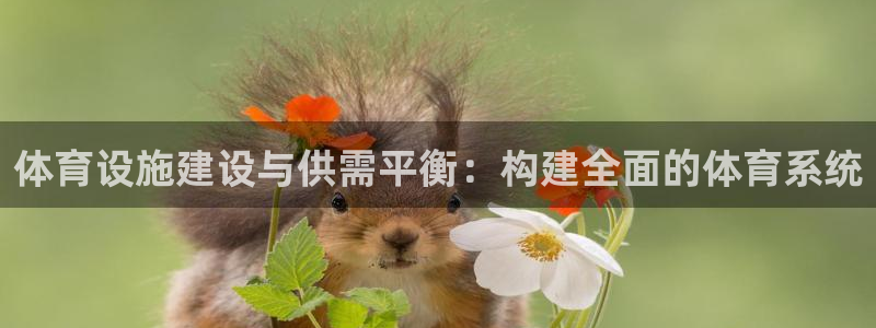 意昂体育4平台注册要钱吗是真的吗：体育设施建设与供需