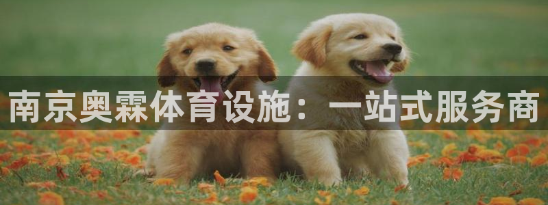 意昂体育4平台注册要钱吗：南京奥霖体育设施：一站式服