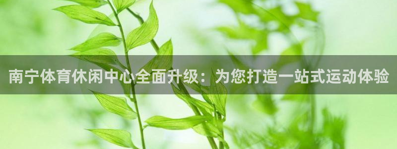意昂体育4招商电话号码：南宁体育休闲中心全面升级：为