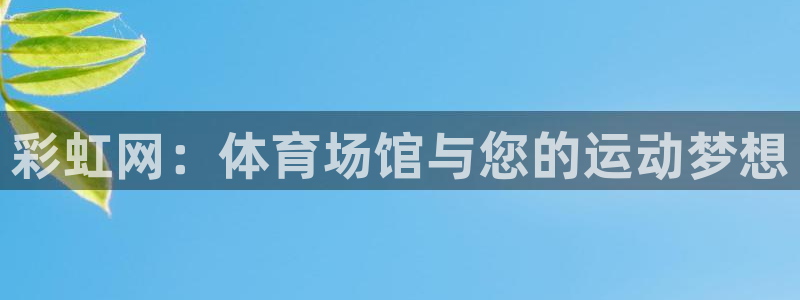 意昂4代理：彩虹网：体育场馆与您的运动梦想