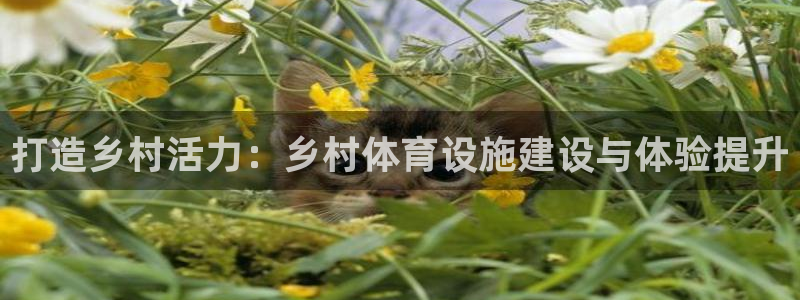 意昂体育4平台注册流程视频