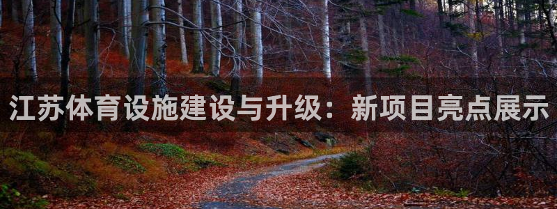 意昂4娱乐代理怎么样：江苏体育设施建设与升级：新项目