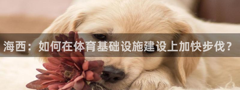 意昂体育4官方客服电话：海西：如何在体育基础设施建设