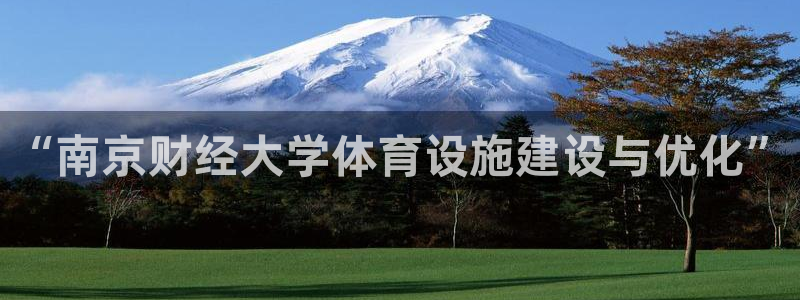 意昂体育4：“南京财经大学体育设施建设与优化”