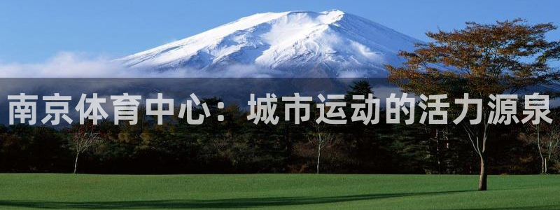意昂4娱乐网站：南京体育中心：城市运动的活力源泉