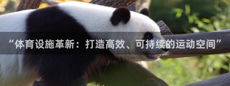 意昂体育4招商电话号码