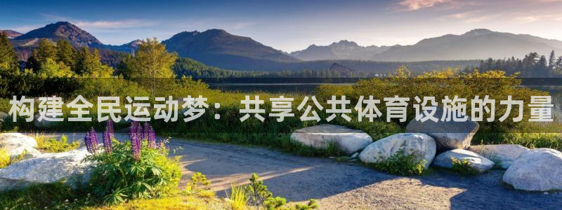 意昂4集团：构建全民运动梦：共享公共体育设施的力量